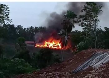 Klarifikasi Juru Bicara You Ho: Tambang Ilegal di Basaan Bukan Milik Sie You Ho