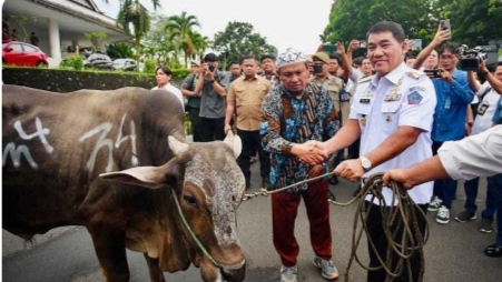 Gubernur Sulut Berikan 50 Ekor Sapi untuk Perayaan Idul Adha