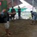 Didanai Pengusaha Laos, Sabung Ayam di Kayu Watu Diduga Dijalankan Jaringan Judi Internasional dengan Backing Oknum Intel KOREM